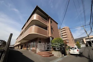 ラ ヴィスタ弥生の画像