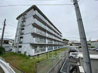 コーポ大社【4階】の外観