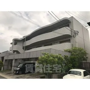 アルベェ徳重の画像