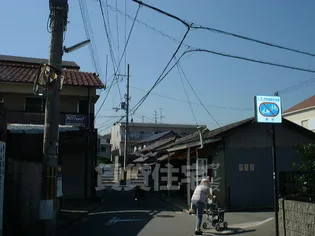 アコルドオクノの画像