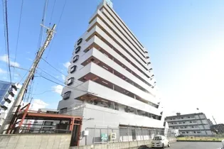 イズミ82の画像