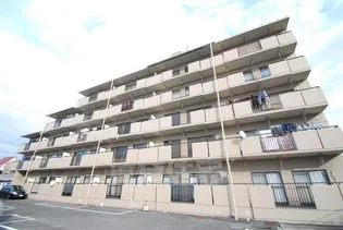 バーンフリート寝屋川【5階】の外観