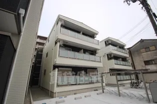 F ASECIA EMILの画像