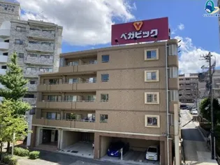 ステラヒルズ【5階】の外観