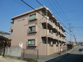 サニーヒル岳陽【3階】の外観