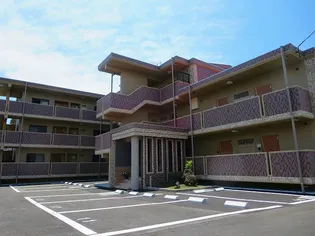 アルストロメリアの画像