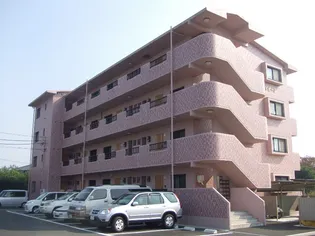 ロゼオ フィオーレの画像