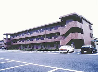 シャドーヒルⅡの画像