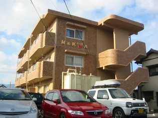 M&KアップルAの画像