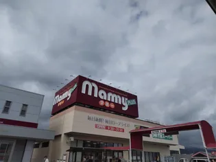 アーバン岳陽【2階】の周辺