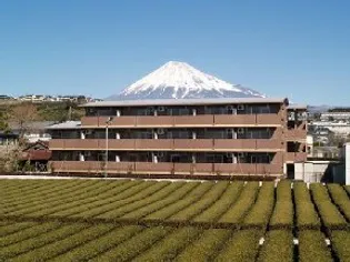 フォレストIIIの画像