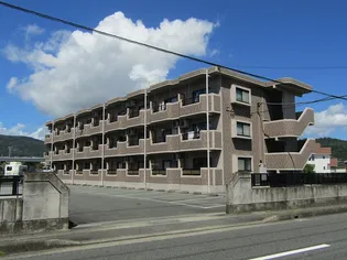 プレアデス'98の画像