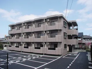 エクセルハイム中島【2階】の外観