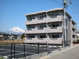 FOUR SEASONSの画像