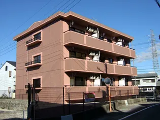 サンリッチの画像