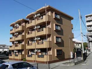 すずのきの画像