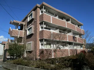 シプレモンターニュの画像
