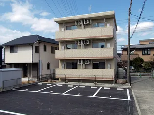 ルーシッドコートIIの画像