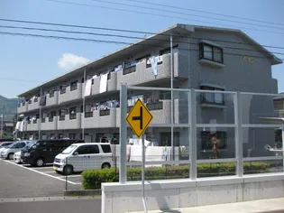 アピオンの画像