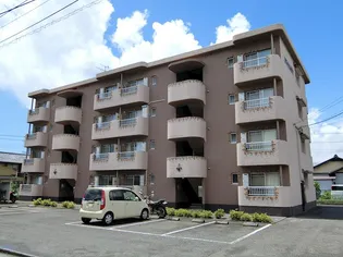 アーリー 1の画像