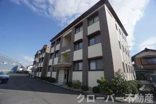 SOLID Gの画像