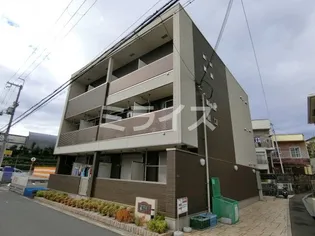 コリーヌ ベルメゾン Sの画像