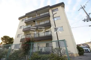 ヴィレーラの画像