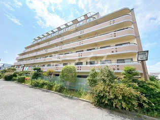 フォーロハーモネートの画像