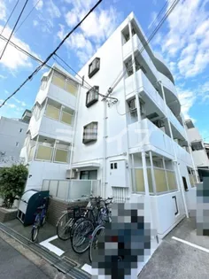 チェルシーの画像