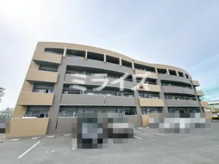 エバーグレイスの画像