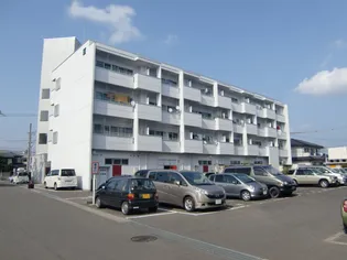 すがみハイツ2号棟【2307号室】の外観