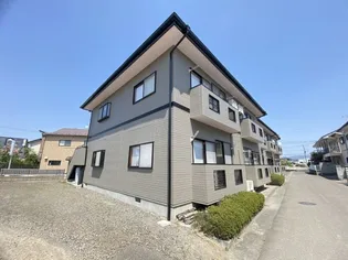 メゾングランアコール【1階】の外観