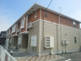 ラディーチェの画像