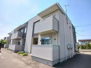 ジプソフィーラの画像