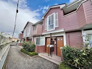 ティンカーベルの画像