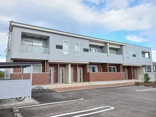 ノヴェルピュアの画像