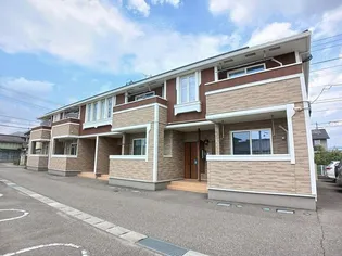 サンリットサワダBの画像