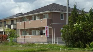 パルシティIIIの画像