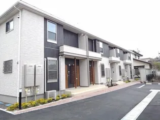 クレマチス IIの画像