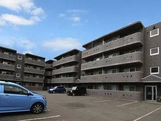 ハイデンス菊水の画像