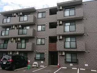 ステラ ソフィアの画像