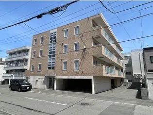 ラフィーコートの画像