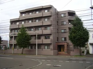 エクセラン20の画像