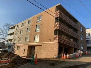 バーニーズヴィスタの画像