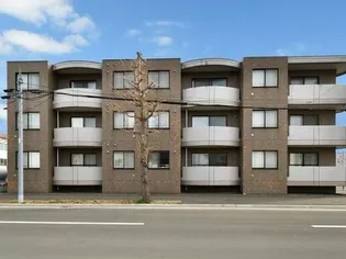 セントポーリアエールの画像