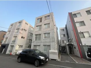 フィオリトゥラヒラギシの画像