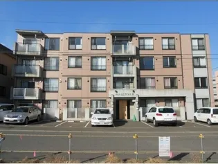 ロサ グラウクスの画像