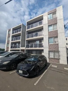 クラリス菊水Vの画像