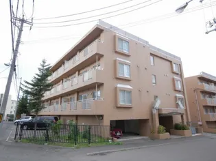 ノースパレス福住壱番館の画像