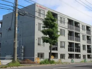 BANFFの画像